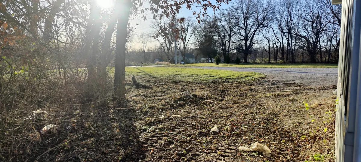 Cleared ground under trees after the job, posted by Rich Myers
