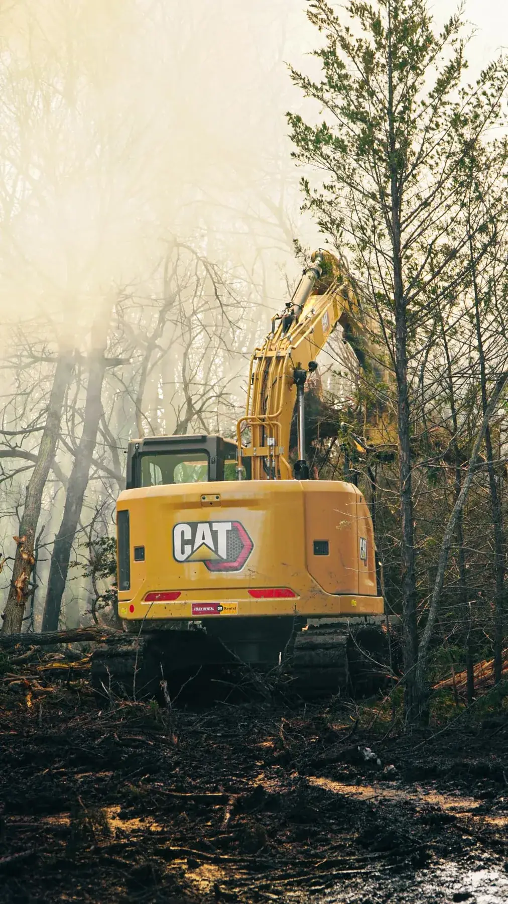 CAT excavator pulling trees during land clearing on a timbered lot