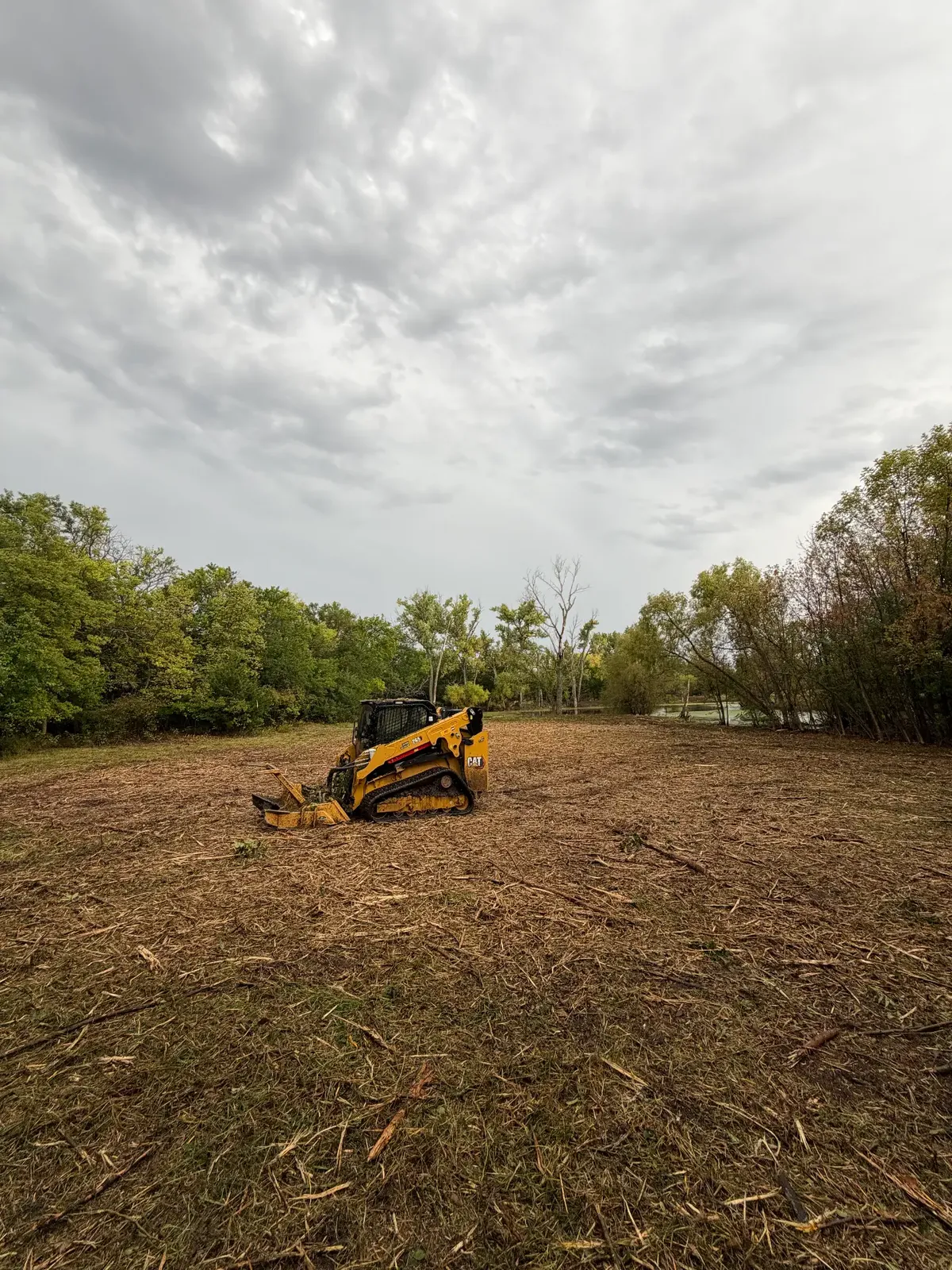 CAT 265 mulcher in a freshly mulched clearing beside a pond