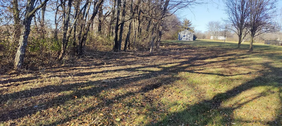 Open tree line after clearing beside a gravel drive, posted by Rich Myers
