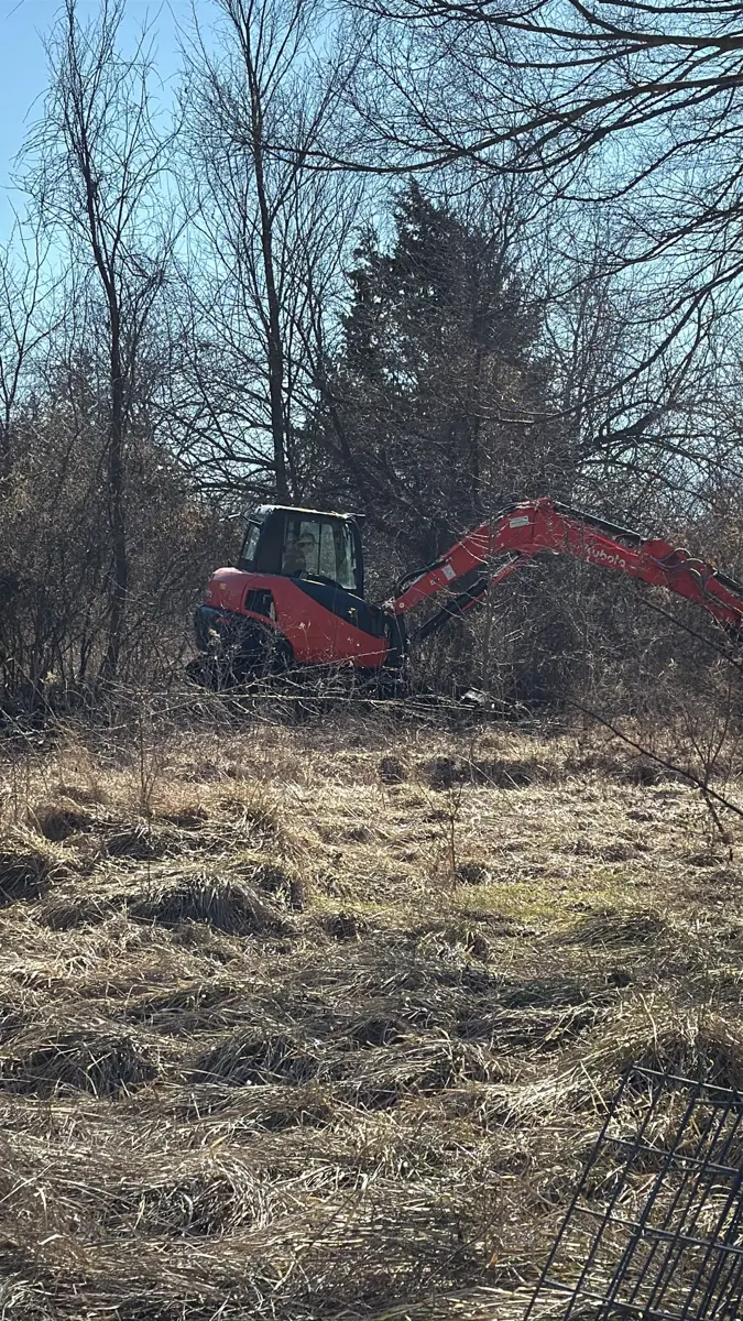 Excavator pulling cedar and brush from an overgrown field, posted by Christopher Gower