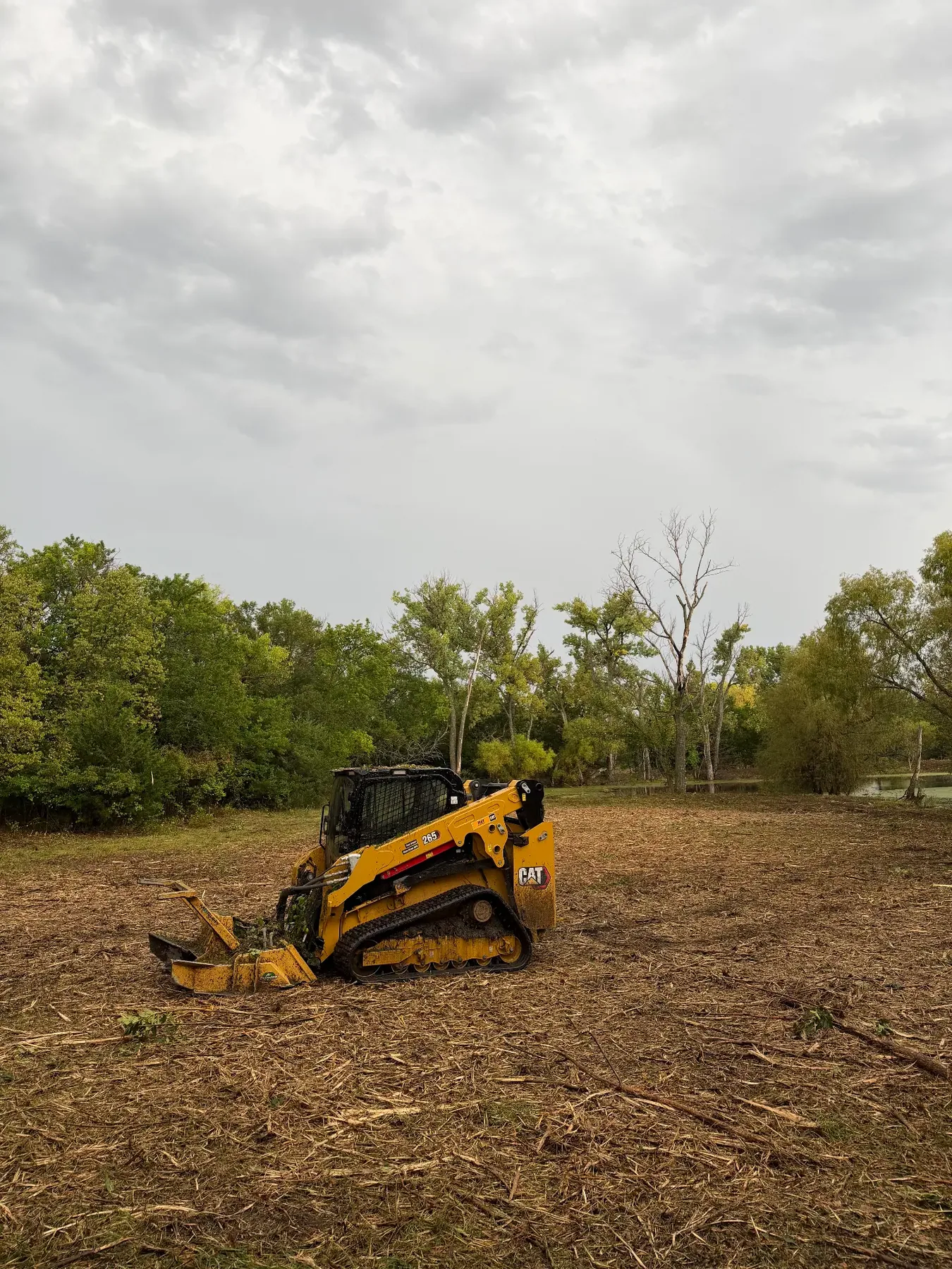 CAT track loader in a wide freshly mulched clearing beside a pond
