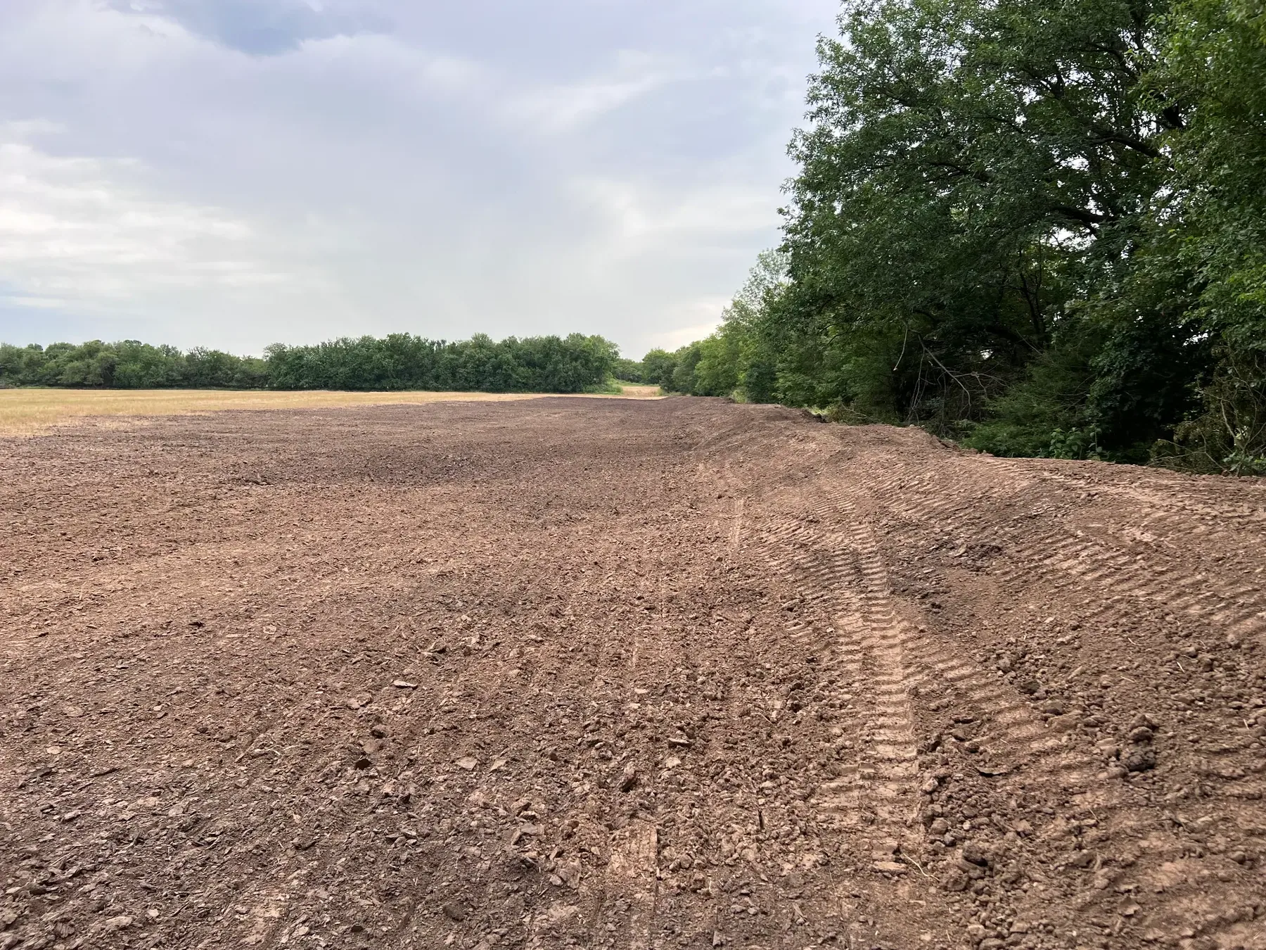 Wide leveled dirt field after grading work with a tree border